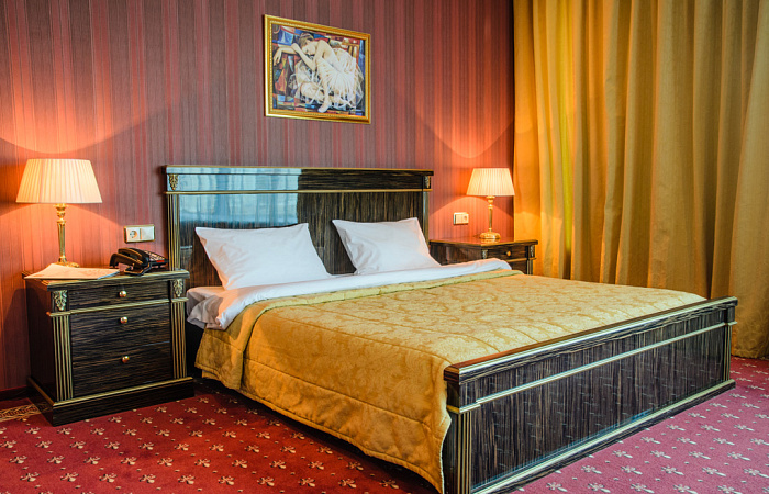 Номер Стандарт с одной двуспальной кроватью в отеле SK Royal в Москве фото 3